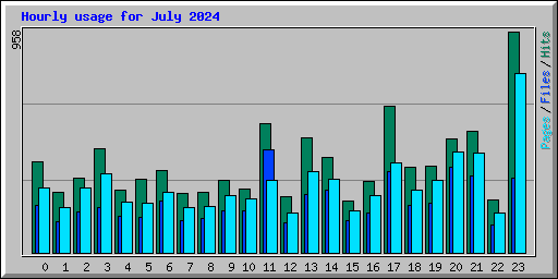 Hourly usage for July 2024