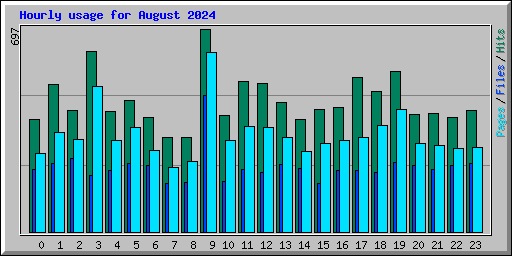 Hourly usage for August 2024