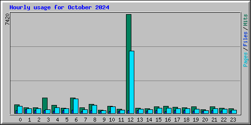 Hourly usage for October 2024