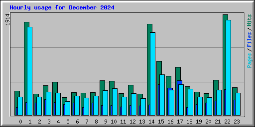 Hourly usage for December 2024