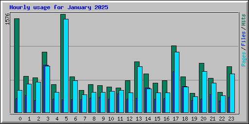 Hourly usage for January 2025